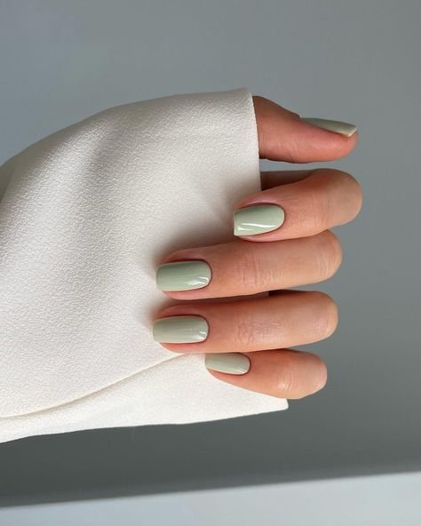 Short nails coated in a smooth, single shade of sage polish by nailbeautyguide
